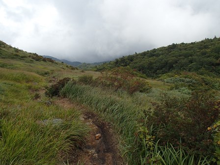 a0344771_20481686.jpg