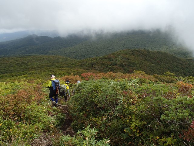 a0344771_20485544.jpg