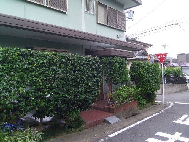 e0031572_17050513.jpg