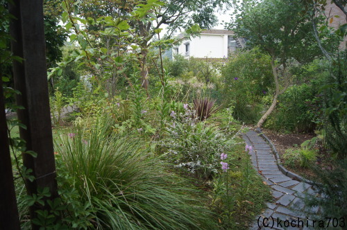 e0181373_21174416.jpg