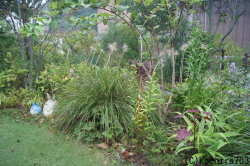 e0181373_21185162.jpg