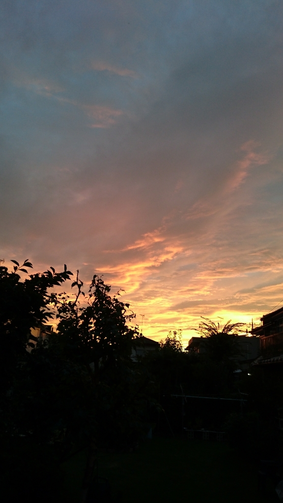 f0071477_08270055.jpg