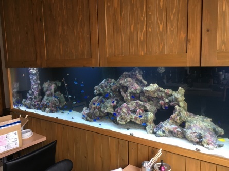 9/20 店長日記_e0173381_18252586.jpg