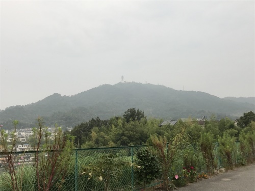 f0315081_21203978.jpg