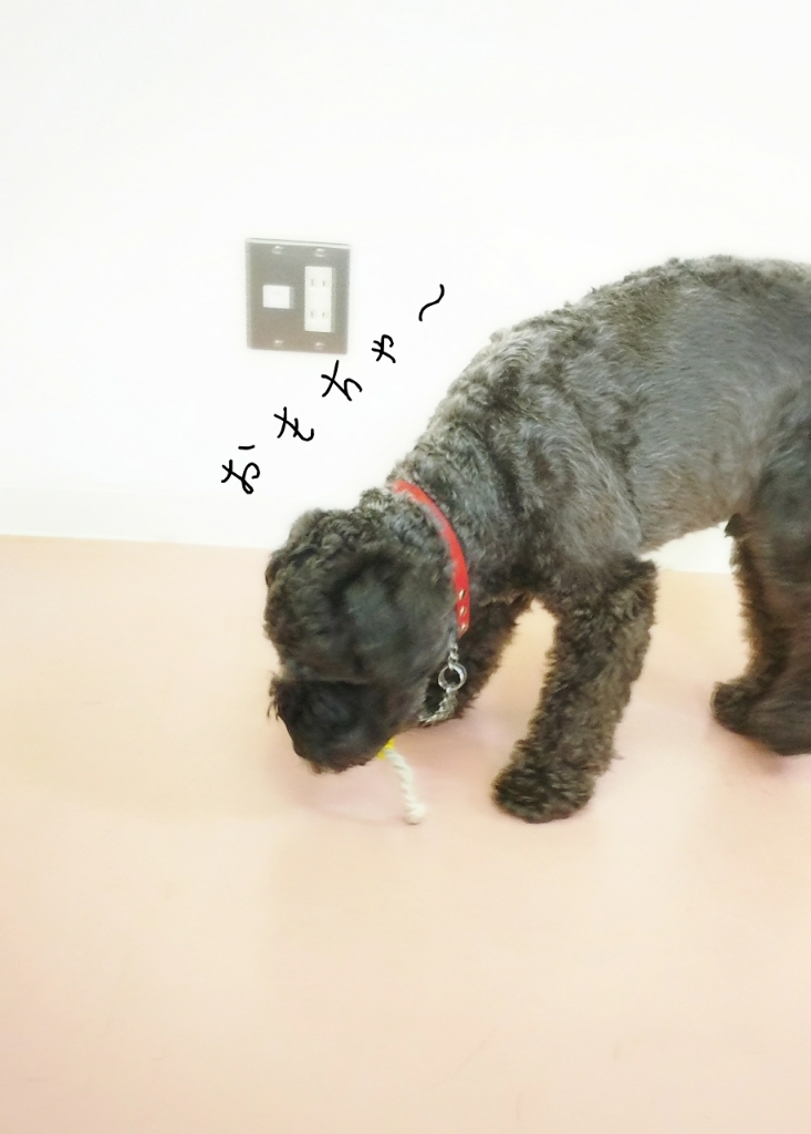 充実♪充実♪_f0357682_18054349.jpg
