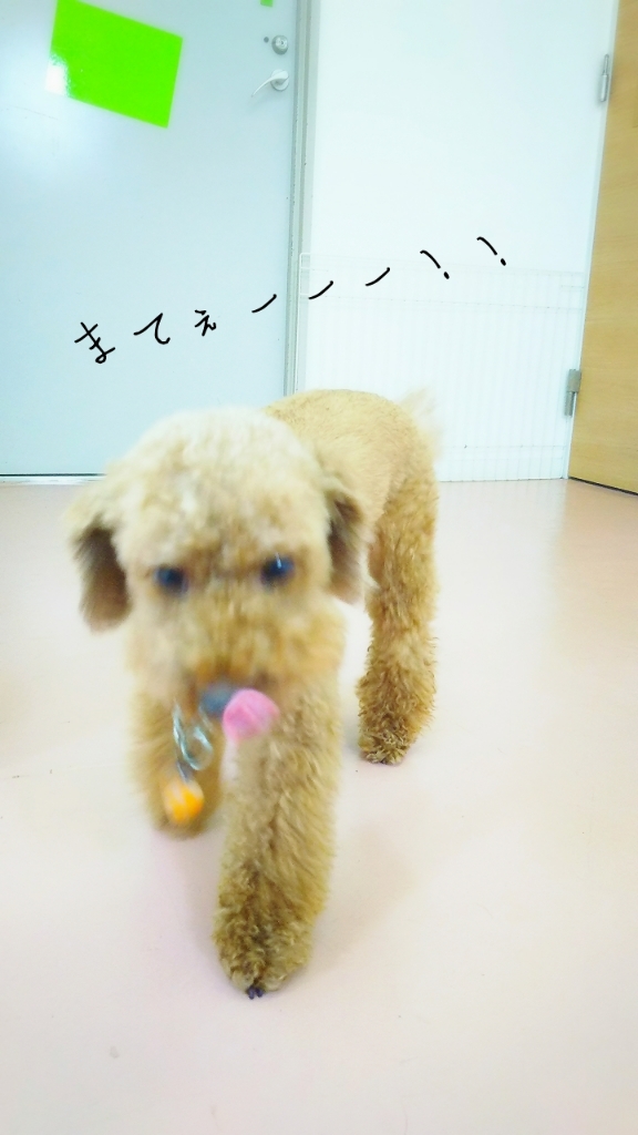 充実♪充実♪_f0357682_18054478.jpg