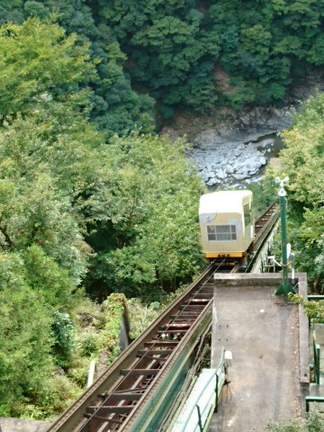 d0098183_15591121.jpg