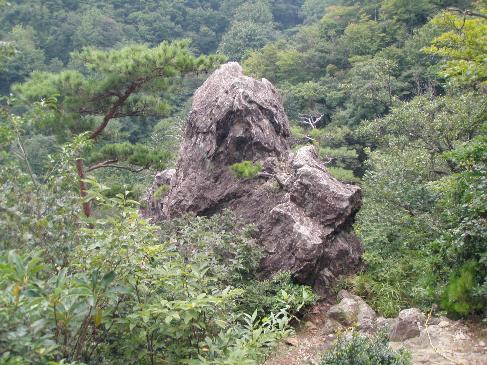 山頂で宴会ができる人は山の達人だと思う_b0199487_12544892.jpg