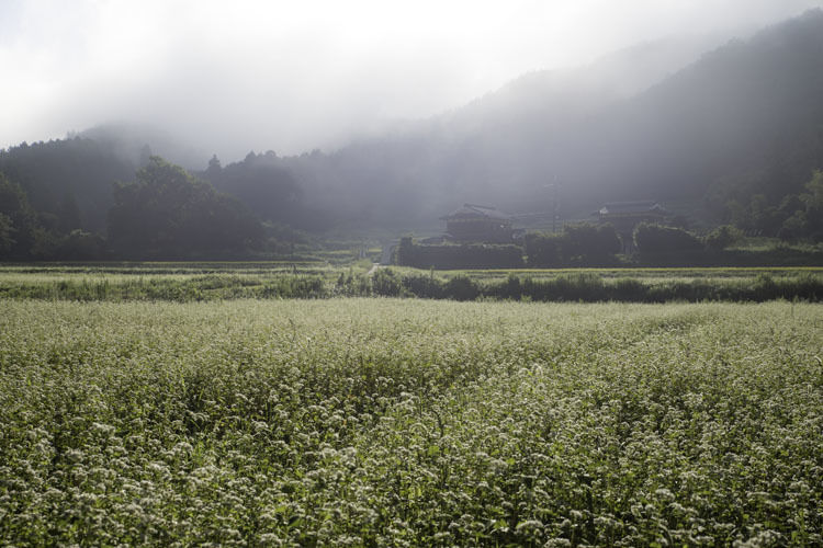 亀岡・犬甘野_e0051888_23500273.jpg