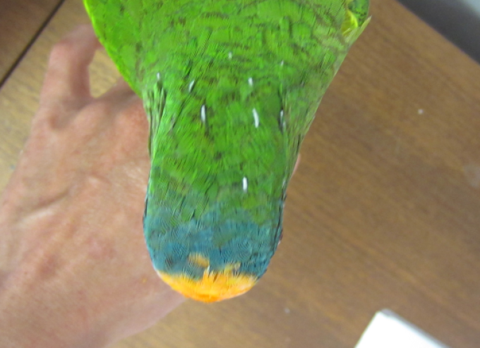 f0234590_10401445.png