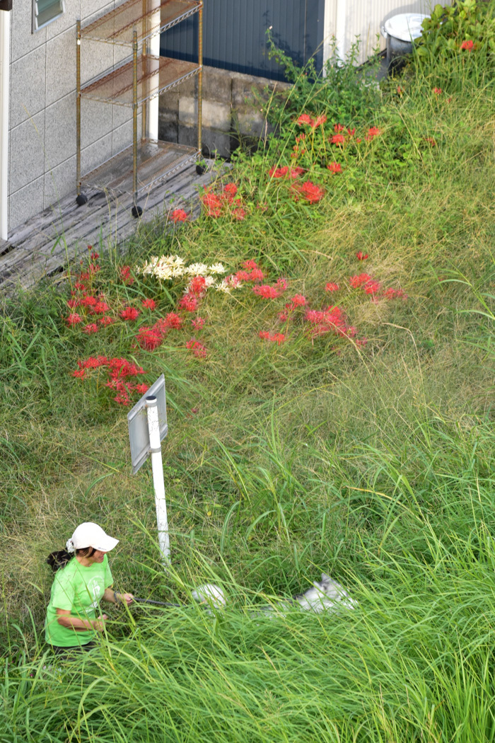 きのうも沢山撮りました！　(^o^)_c0049299_12580359.jpg