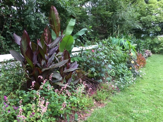 a0123003_08402253.jpg