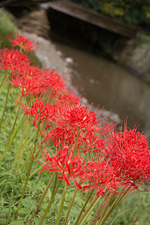 b0014607_16485138.jpg