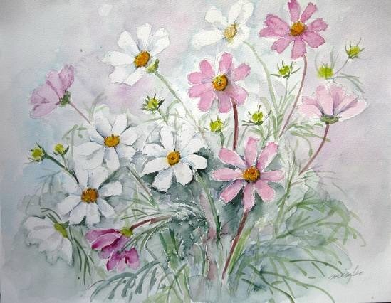 コスモス 水彩画misako花のパレット