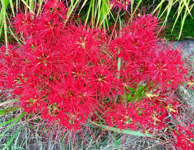 c0388708_21461629.jpg