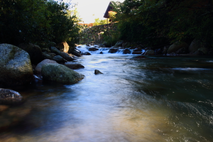 e0174008_17512788.jpg