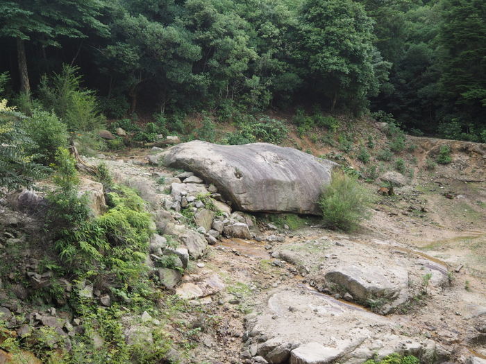 宮島水中花火　その２（弥山へ）_c0116915_01065135.jpg