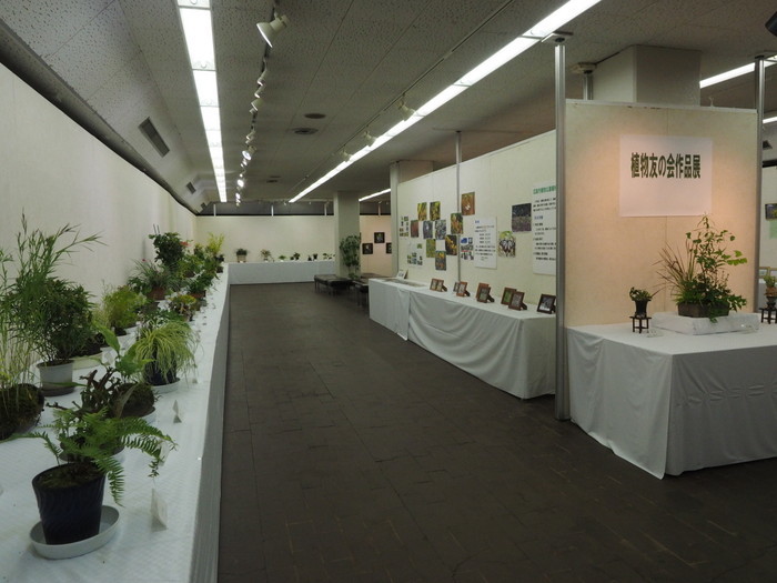 植物友の会作品展_c0116915_01361733.jpg