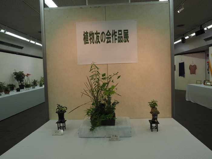 植物友の会作品展_c0116915_01373503.jpg