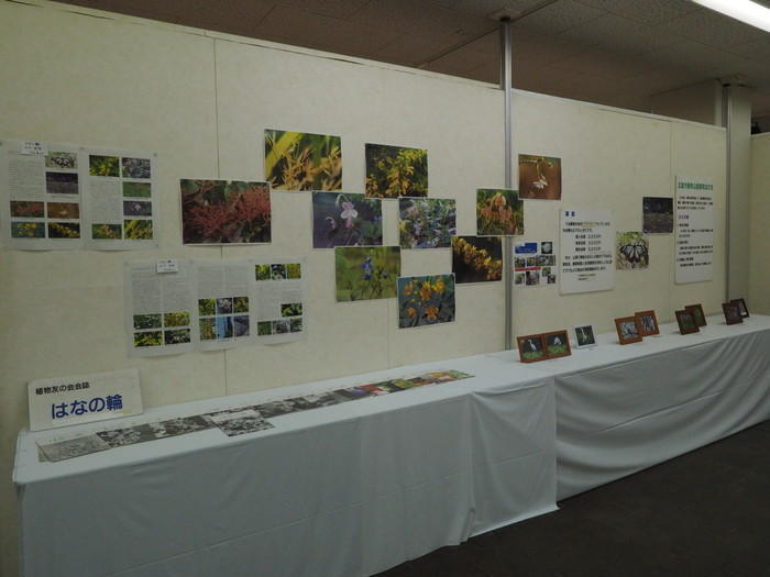 植物友の会作品展_c0116915_01433259.jpg
