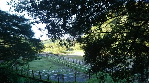 b0187620_20371934.jpg