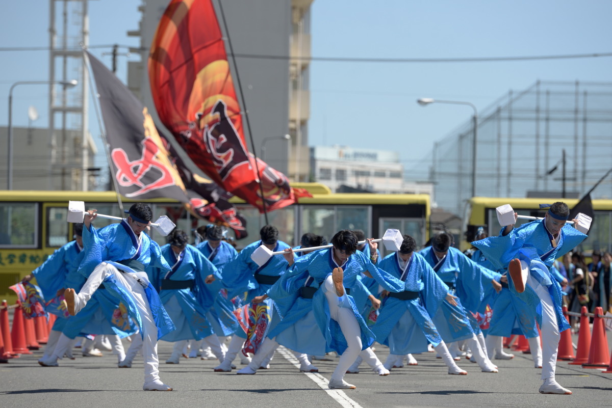 第7回　ところざわYOSAKOI元気フェスタ　「朝霞鳴子一族め組」さん　埼玉県朝霞市_c0276323_13495053.jpg