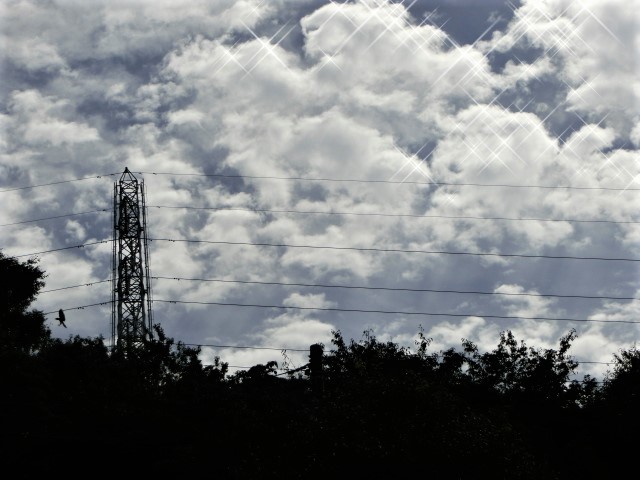f0354923_23384384.jpg