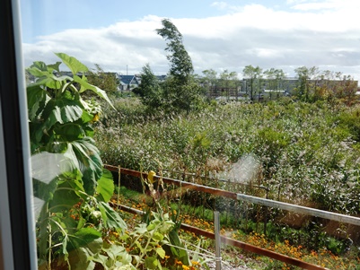 c0204725_113264.jpg