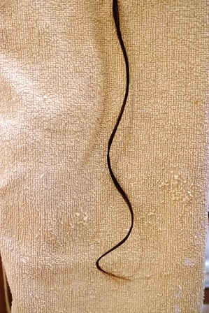c0109726_13434523.jpg