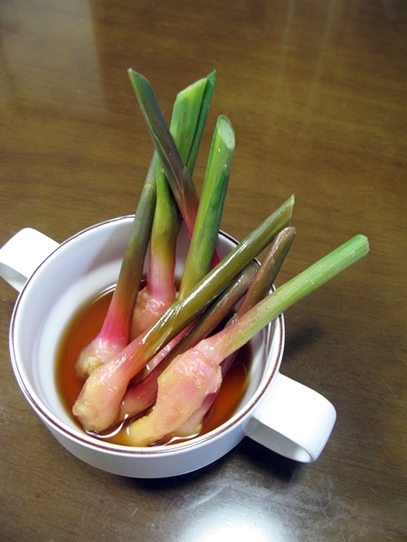 葉生姜_f0129726_20581988.jpg