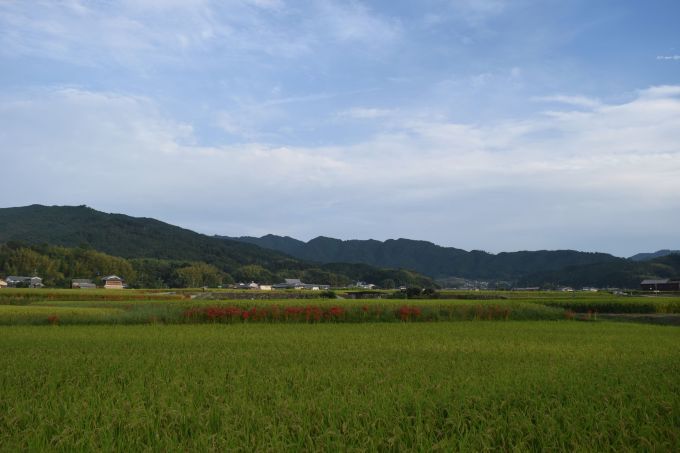 a0228333_21584614.jpg