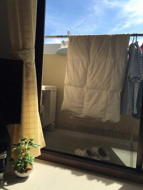 秋風と掃除と平目_c0113733_01184030.jpg