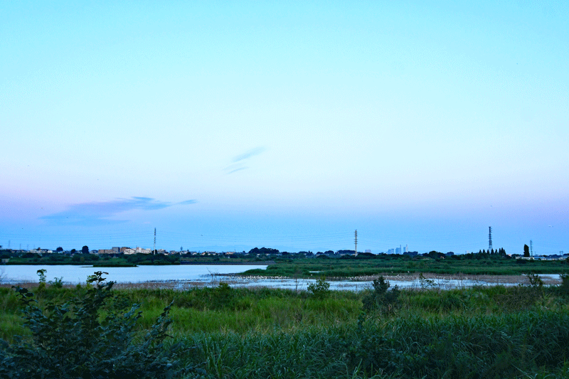 d0290240_15433517.gif