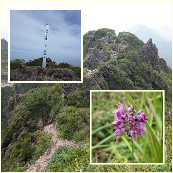 e0164643_13461811.jpg