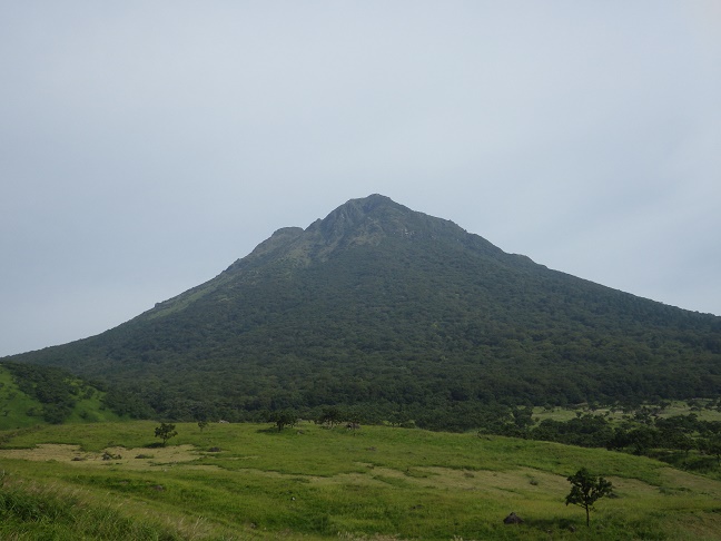 e0164643_1354331.jpg
