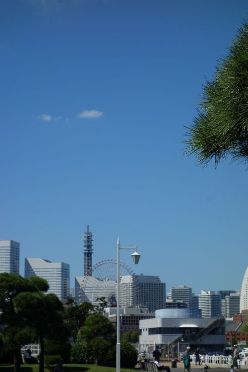 山下公園から、みなとみらい地区と氷川丸_e0080345_17294274.jpg
