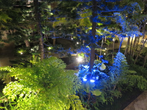 c0011649_23452443.jpg