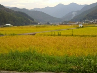 c0330749_18420755.jpg