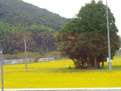 c0330749_18420845.jpg