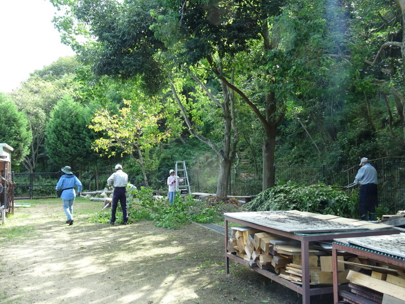 c0108460_21310778.jpg