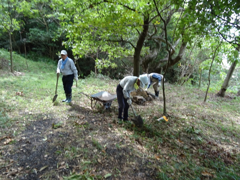 c0108460_21430155.jpg