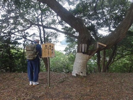 海が見える行場　　友ヶ島_c0303868_07361325.jpg