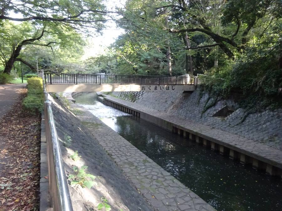 f0059673_19401534.jpg