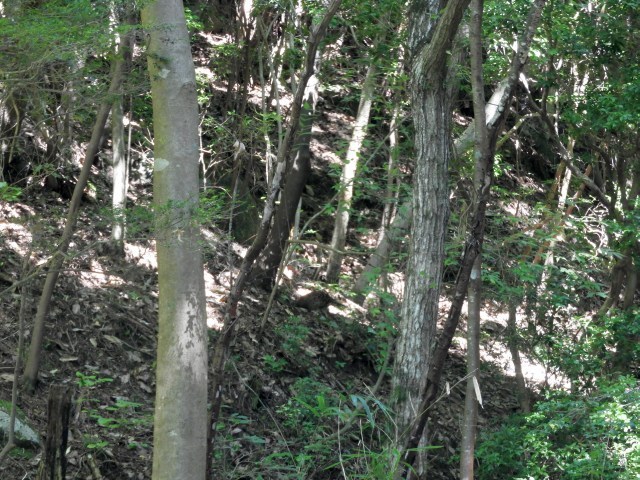 f0378979_18272037.jpg