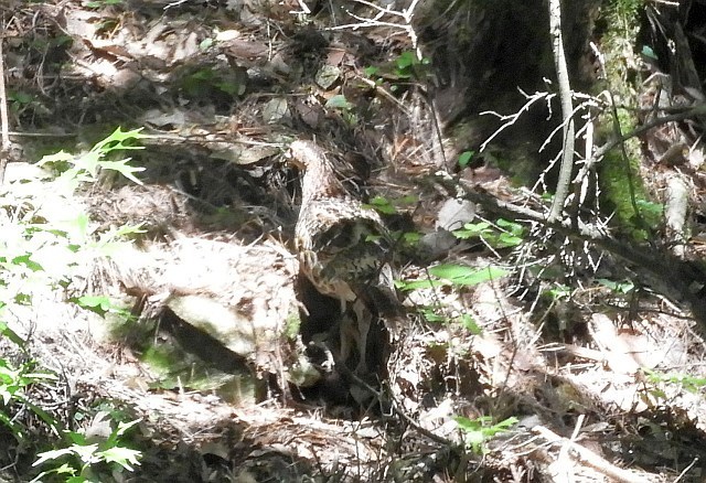 f0378979_18282752.jpg