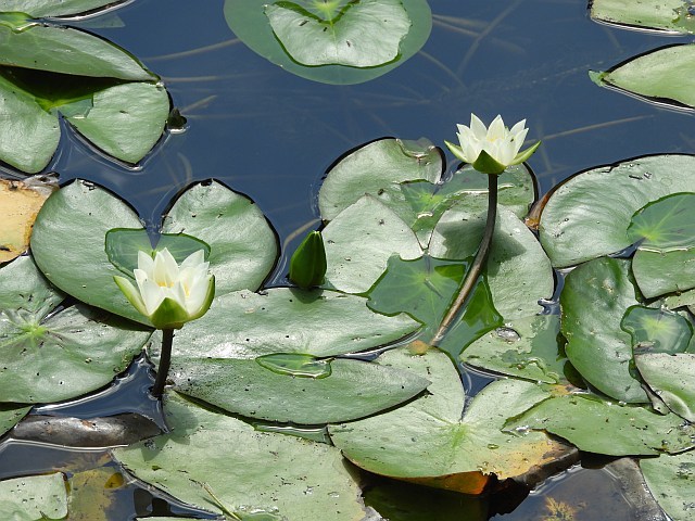 f0378979_18444163.jpg