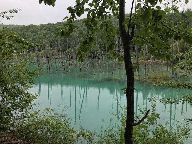 北海道ツーリング 5日目①_a0344080_21133345.jpg