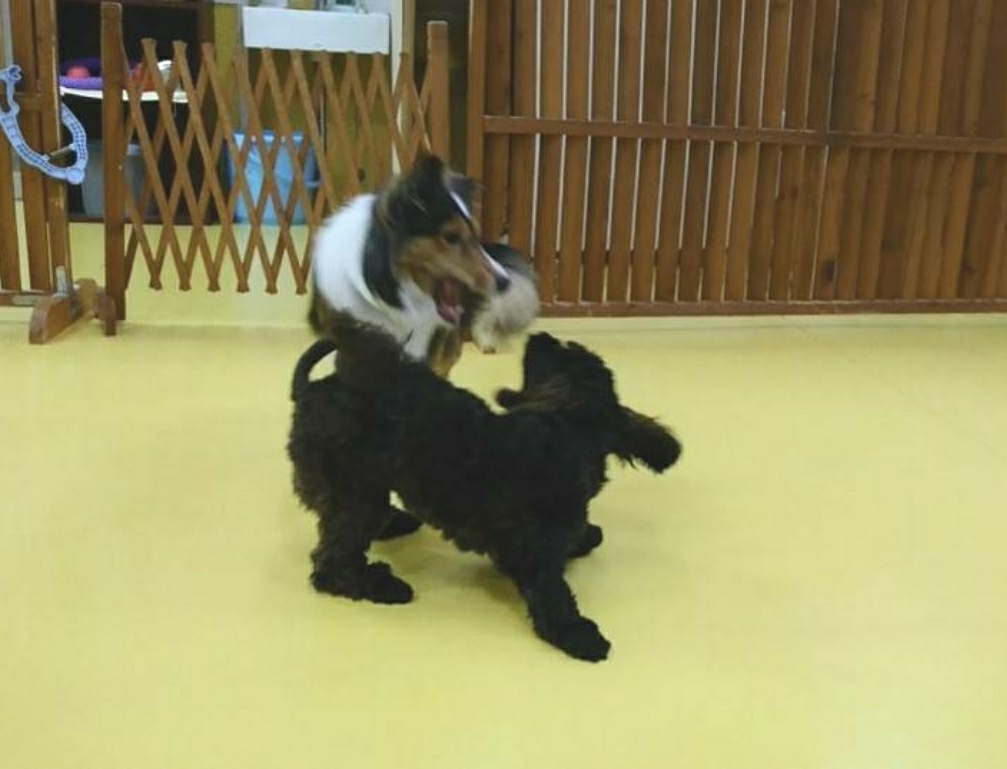 トレーニングブログ_f0357682_21424718.jpg