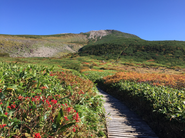 白山登山20170921_d0182188_15503411.jpg