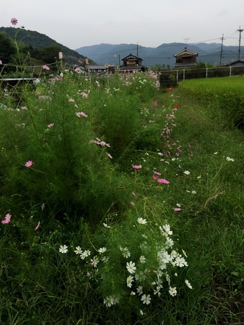 f0229190_12592010.jpg